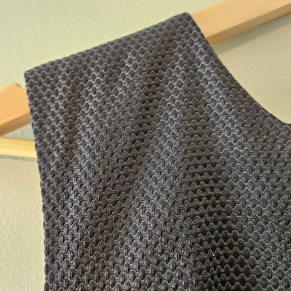 Birds Of North America Sleeveless Feminine Textured Mini Black Dress Size 8. - Picture 8 of 13